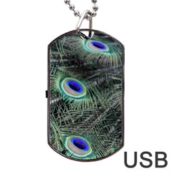 Plumage Peacock Feather Colorful Dog Tag Usb Flash (two Sides)