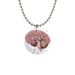 Cerebrum Human Structure Cartoon Human Brain 1  Button Necklace by Sapixe