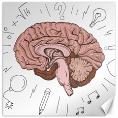 Cerebrum Human Structure Cartoon Human Brain Canvas 12  X 12 