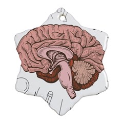 Cerebrum Human Structure Cartoon Human Brain Ornament (snowflake)