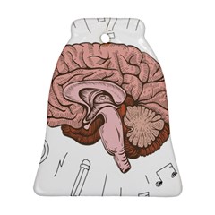 Cerebrum Human Structure Cartoon Human Brain Bell Ornament (two Sides)
