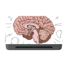 Cerebrum Human Structure Cartoon Human Brain Memory Card Reader With Cf
