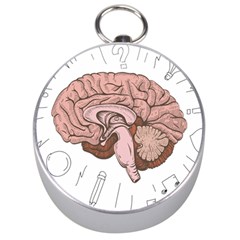 Cerebrum Human Structure Cartoon Human Brain Silver Compasses