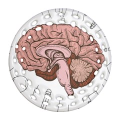 Cerebrum Human Structure Cartoon Human Brain Ornament (round Filigree)