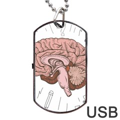 Cerebrum Human Structure Cartoon Human Brain Dog Tag Usb Flash (two Sides)