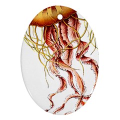 Animal Art Forms In Nature Jellyfish Ornament (oval) by Sapixe