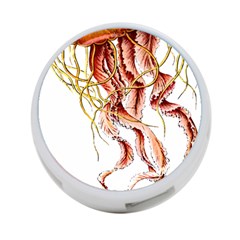 Animal Art Forms In Nature Jellyfish 4-port Usb Hub (two Sides)