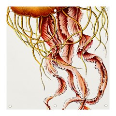 Animal Art Forms In Nature Jellyfish Banner And Sign 3  X 3 