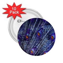 Peacock-feathers-blue 2 25  Buttons (10 Pack)  by nateshop