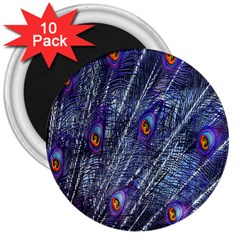 Peacock-feathers-blue 3  Magnets (10 Pack)  by nateshop