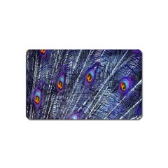 Peacock-feathers-blue Magnet (name Card) by nateshop