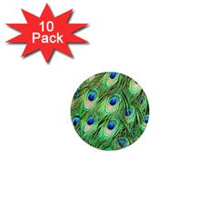 Peacock-green 1  Mini Magnet (10 Pack)  by nateshop
