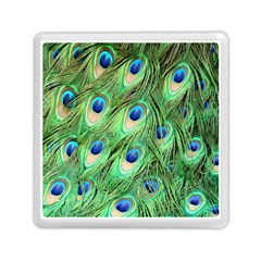 Peacock-green Memory Card Reader (square) by nateshop
