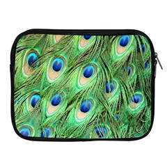 Peacock-green Apple Ipad 2/3/4 Zipper Cases by nateshop