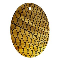 Chain Link Fence  Oval Ornament (two Sides)