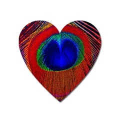 Red Peacock Plumage Fearher Bird Pattern Heart Magnet by Wegoenart