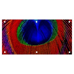 Red Peacock Plumage Fearher Bird Pattern Banner And Sign 6  X 3  by Wegoenart