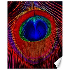 Red Peacock Plumage Fearher Bird Pattern Canvas 16  X 20 