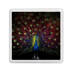 Beautiful Peacock Feather Memory Card Reader (square) by Jancukart