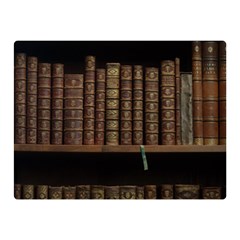 Books Covers Book Case Old Library Double Sided Flano Blanket (mini)  by Amaryn4rt