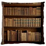 Books Bookcase Old Books Historical Large Cushion Case (Two Sides) Front