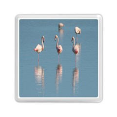 Flamingo Birds Plumage Sea Water Memory Card Reader (square) by artworkshop