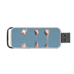 Flamingo Birds Plumage Sea Water Portable Usb Flash (two Sides) by artworkshop