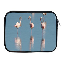 Flamingo Birds Plumage Sea Water Apple Ipad 2/3/4 Zipper Cases by artworkshop