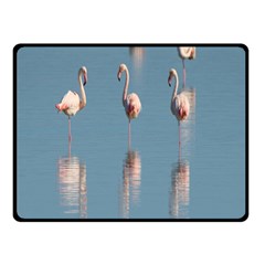 Flamingo Birds Plumage Sea Water Double Sided Fleece Blanket (small)  by artworkshop