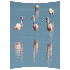 Flamingo Birds Plumage Sea Water Back Support Cushion by artworkshop