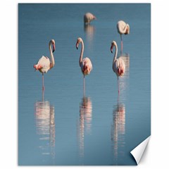 Flamingo Birds Plumage Sea Water Animal Exotic Canvas 16  X 20  by artworkshop