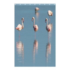 Flamingo Birds Plumage Sea Water Animal Exotic Shower Curtain 48  X 72  (small)  by artworkshop