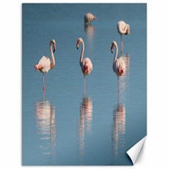 Flamingo Birds Plumage Sea Water Animal Exotic Canvas 18  X 24  by artworkshop