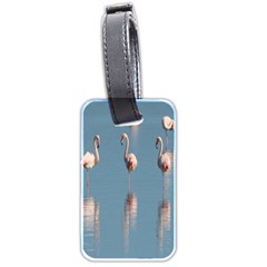 Flamingo Birds Plumage Sea Water Animal Exotic Luggage Tag (two Sides) by artworkshop