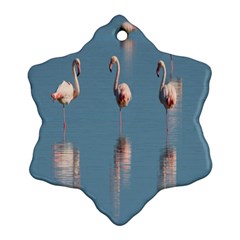 Flamingo Birds Plumage Sea Water Animal Exotic Snowflake Ornament (two Sides) by artworkshop