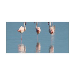 Flamingo Birds Plumage Sea Water Animal Exotic Yoga Headband by artworkshop