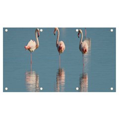 Flamingo Birds Plumage Sea Water Animal Exotic Banner And Sign 7  X 4  by artworkshop