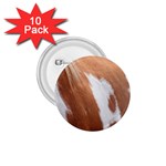 Horse Coat Animal Equine 1.75  Buttons (10 pack) Front