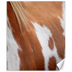 Horse Coat Animal Equine Canvas 8  X 10  by artworkshop