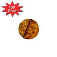 Leaf Leaf Veins Fall 1  Mini Buttons (100 Pack)  by artworkshop