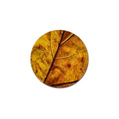 Leaf Leaf Veins Fall Golf Ball Marker by artworkshop