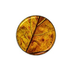 Leaf Leaf Veins Fall Hat Clip Ball Marker by artworkshop