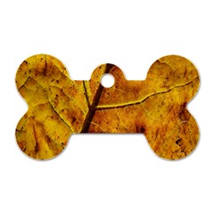 Leaf Leaf Veins Fall Dog Tag Bone (two Sides) by artworkshop