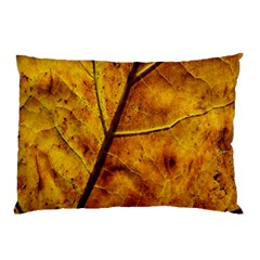 Leaf Leaf Veins Fall Pillow Case by artworkshop