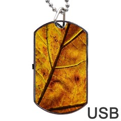 Leaf Leaf Veins Fall Dog Tag Usb Flash (two Sides) by artworkshop