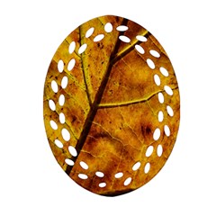 Leaf Leaf Veins Fall Oval Filigree Ornament (two Sides) by artworkshop