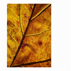 Leaf Leaf Veins Fall Small Garden Flag (two Sides) by artworkshop