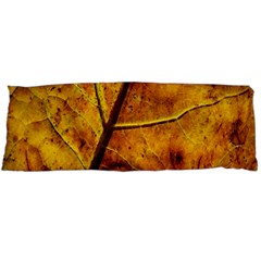 Leaf Leaf Veins Fall Body Pillow Case (dakimakura) by artworkshop