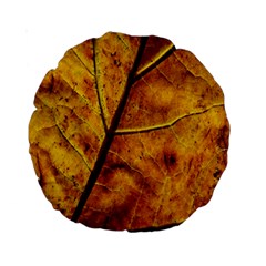 Leaf Leaf Veins Fall Standard 15  Premium Round Cushions by artworkshop