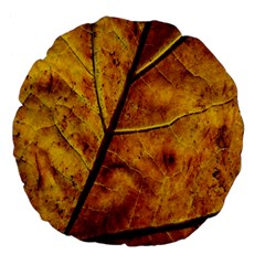 Leaf Leaf Veins Fall Large 18  Premium Flano Round Cushions by artworkshop